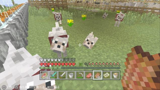 Illustration for article titled People, Don't Turn Your Dog into Real-Life MinecraftÂ